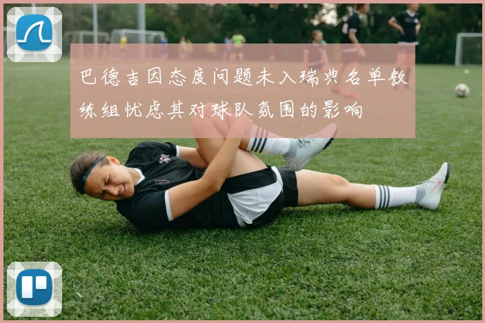 巴德吉因态度问题未入瑞典名单教练组忧虑其对球队氛围的影响