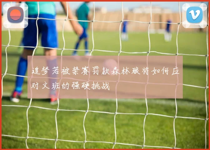 追梦若被禁赛罚款森林狼将如何应对文班的强硬挑战