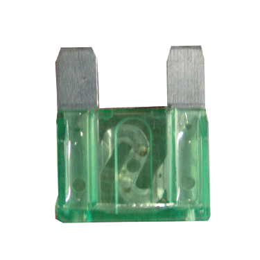 10 PIECE 30 AMP GREEN MAX FUSE PACK: Prosperity Tool, Inc.