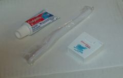 3 PIECE TRAVEL TOOTHBRUSH SET